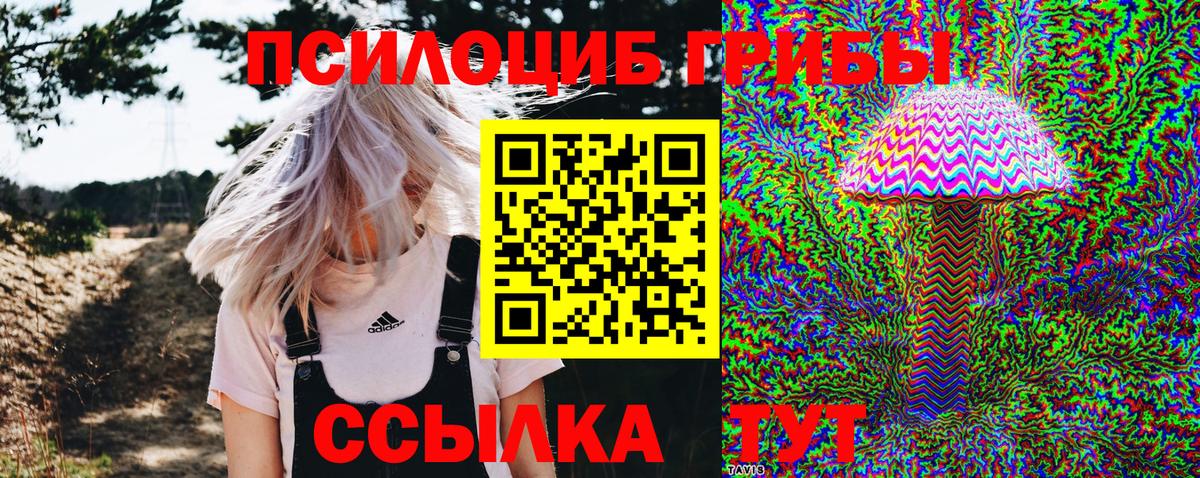 Галлюциногенные грибы мицелий  Псилоцибиновые грибы MAGIC MUSHROOMS  Жигулёвск  Вход с VPN 